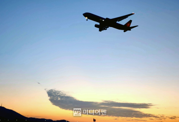 단비여행사 이미지